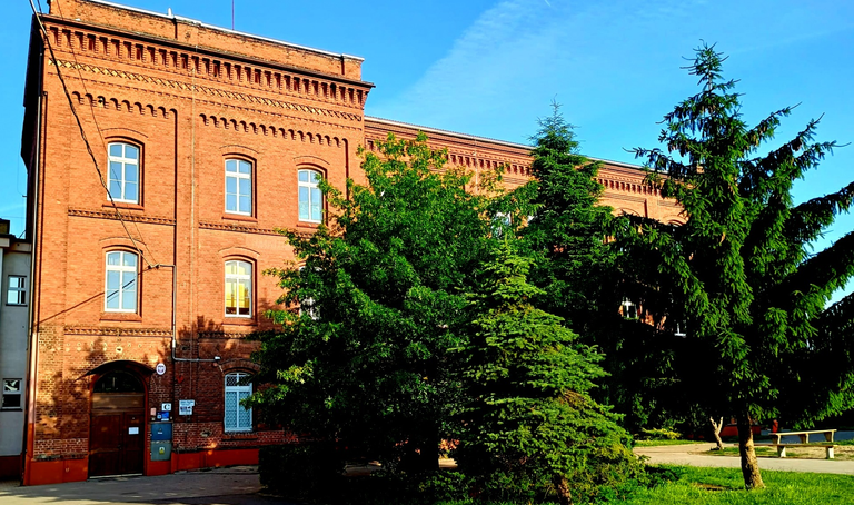 Dlaczego szkoła podstawowa Bojanowo ma znaczenie